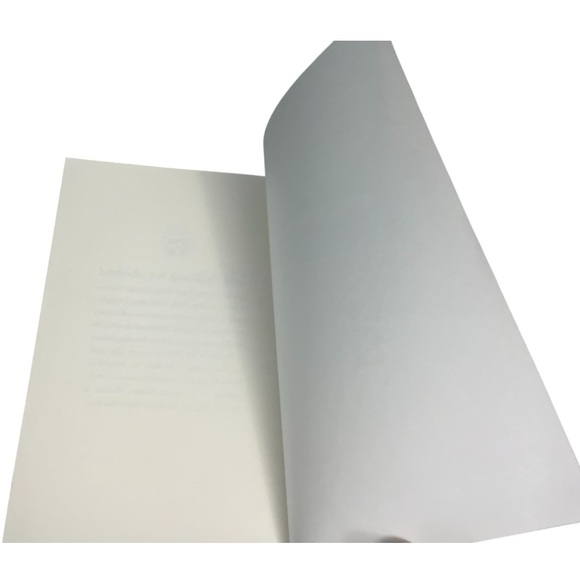 My Life In Pink & Green by Lisa Greenwald Book - Picture 5 of 5